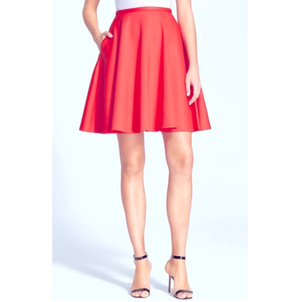 NWOT Ted Baker Miloca Skater Skirt Size 0